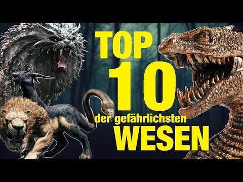 TOP 10 der GEFÄHRLICHSTEN TIERWESEN aus Harry Potter 💀