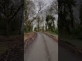 Ambient Walking #walkingambience #nature #4k #nomadiclife #uk #derry
