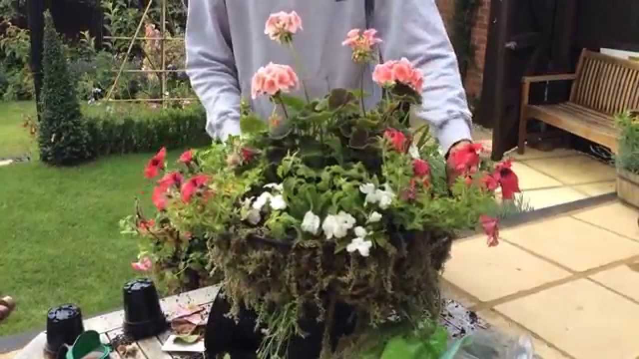 Hanging basket - Make yours in under 8 minutes
