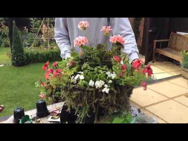 Hanging basket - Make yours in under 8 minutes