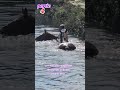 comment c'est magnifique de regardez ça de ses propres yeux partie 4