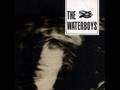 The Waterboys - It Should Have Been You