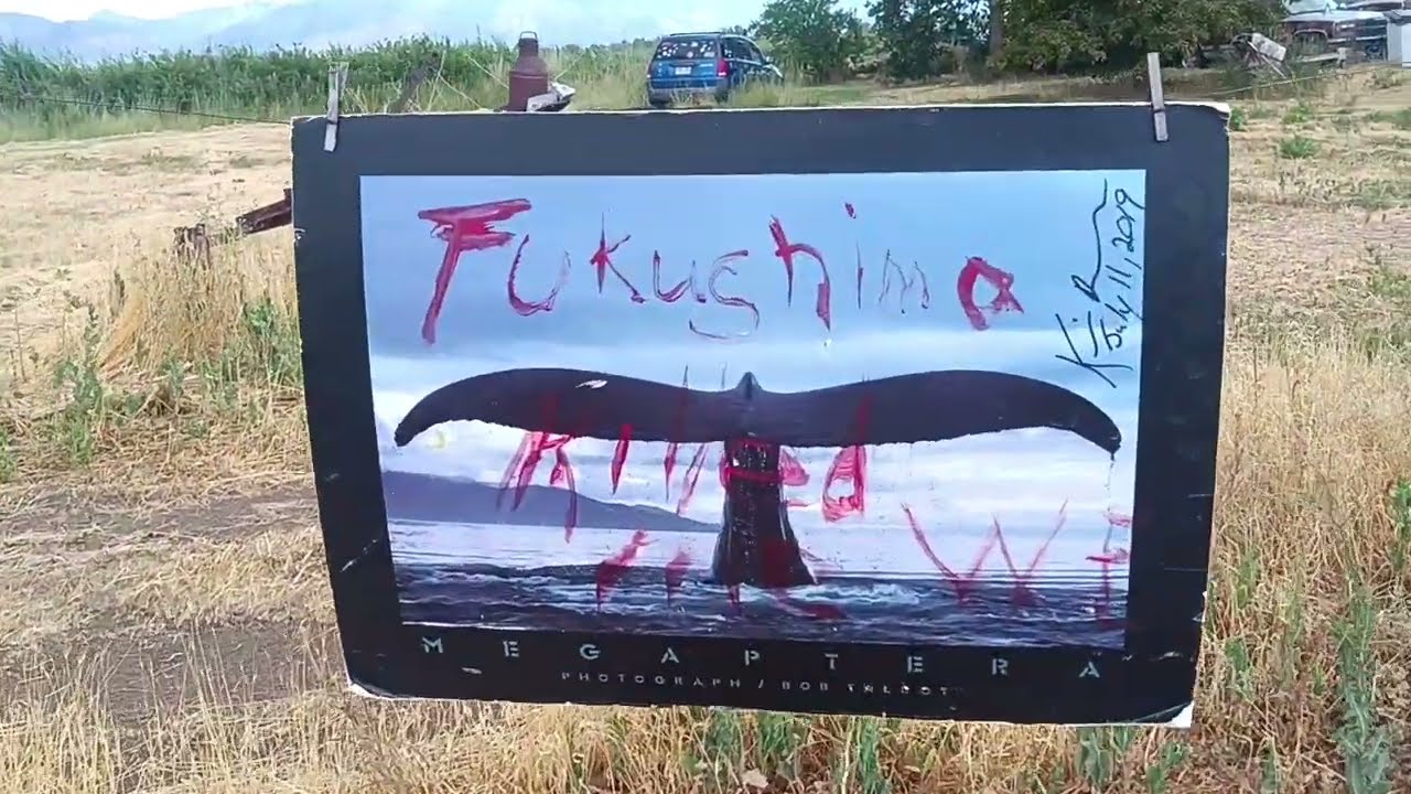 FUKUSHIMA News;; Gray WHALE Starvation 2011-25 Confirmed NOAA lied, Kevin D Blanch Historic TRUTH