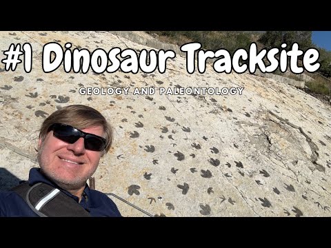 Geology Of Dinosaur Ridge Colorado 1 Dinosaur Tracksite In North America 