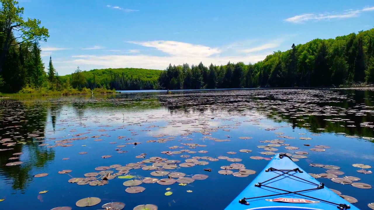 Peaceful kayak ride on the lake