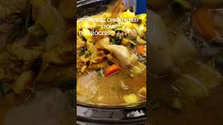 Vietnamese Beef and Chicken Soup Stew