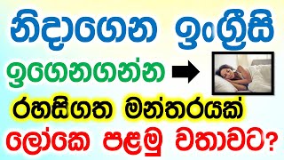 Learn English While Sleeping 02 Hours | Learn All Basic Phrases with Sinhala Meanings