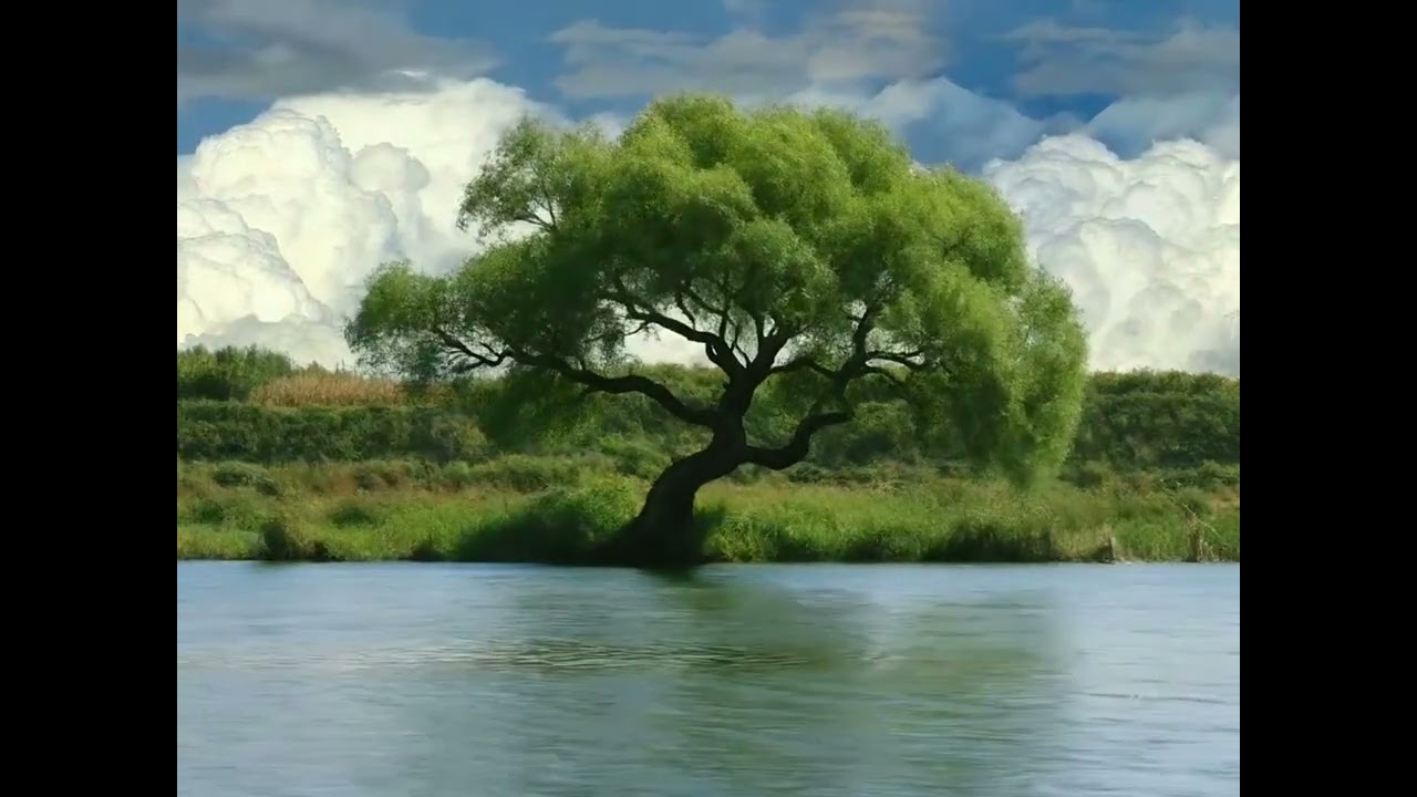 Música de naturaleza relajante melodía suave
