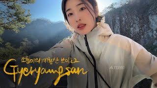 등산vlog. 나혼자 초겨울 계룡산 등산! 동학사-관음봉 코스 with 아디다스 테렉스 screenshot 1