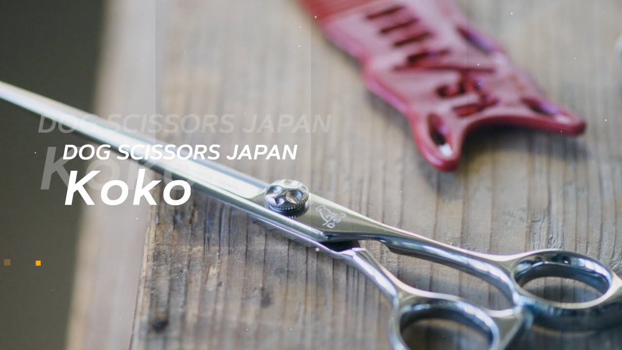 COCO専用 ペットシザー ドッグ シザーズ ジャパン ココ(Koko)ストレートシザー（straight