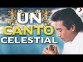 Un Canto Celestial, Diomedes Díaz - Letra Oficial