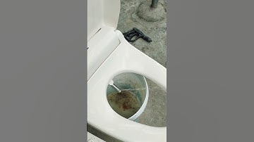 Bệt panasonic sản xuất 2019 làm ấm nước rửa và vành ngồi, nhận sửa chữa bệt toto, panasonic toshiba