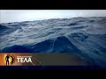 Морская болезнь | Приключения тела