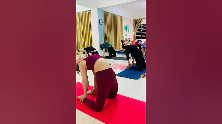 779. #vietnamese #viral #yoga #trending #video #vietnam