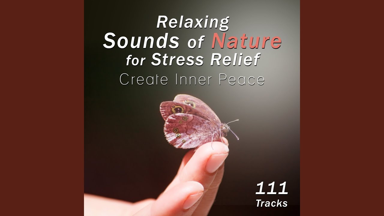 Amazing & Relaxing Sounds for Yoga Sequence