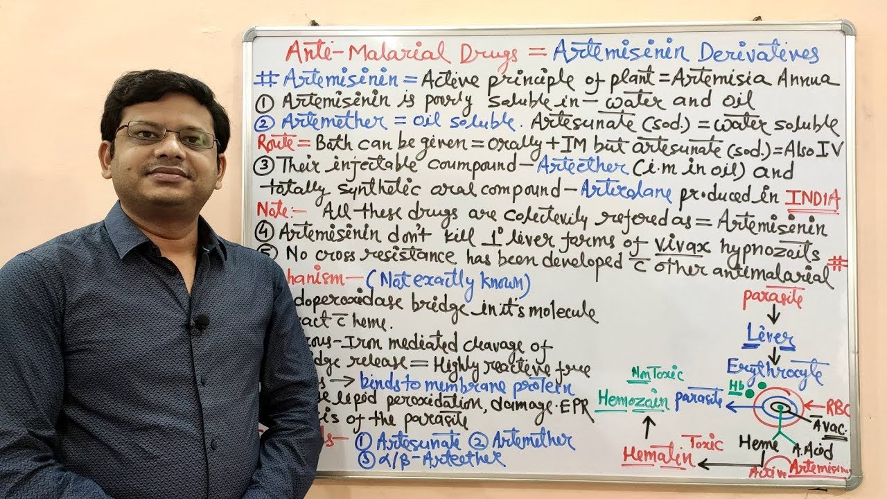 Antimalarial Drug (Part-10 Final) Artemisinin Pharmacology & Mechanism of Action | Antimalarial Drug