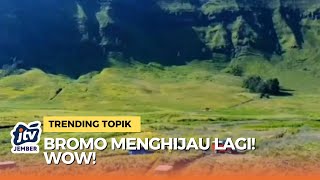 Download lagu Bromo's Watangan Valley is Verdant! Its Beauty Amazes Tourists