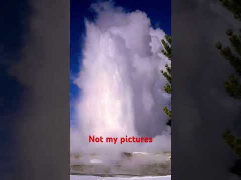 Geyser School part 1 :) #yellowstonenationalpark #yellowstone