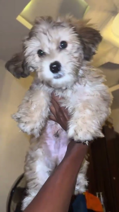 pretty little baby