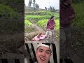 lấy thùng sữa mà dài dòng ghê #music #love #song #coversong #singersongwriter #duet #trump #korean