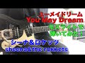 鮎川誠さん 追悼曲 ユーメイドリーム シーナ&ロケッツ You May Dream(1980)  SHEENA &amp; THE ROKKETS ギターで弾いてみた!guitar instrumental