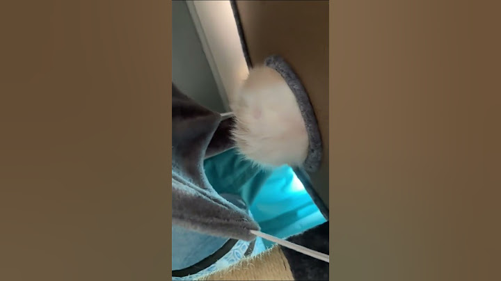 He’s Too Fat