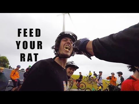 RATBOY ATE ALL THE CHEESE - NZ Roadtrip Day1 - CG VLOG #96