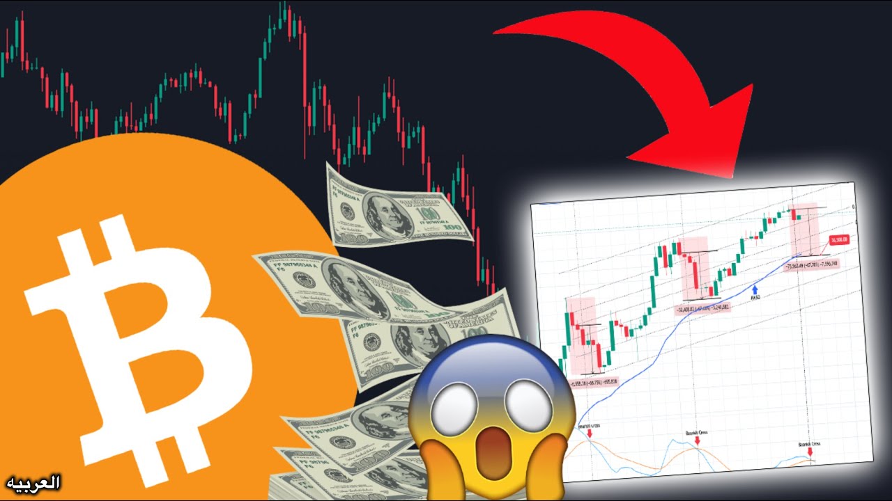 البيتكوين... ضهرت هذه الإشارة الكارثية للتو...