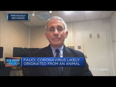 Stocks tumble as coronavirus fears rise