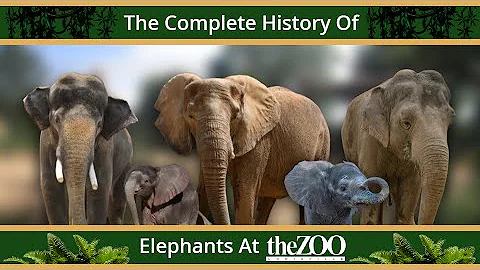 The Complete History Of Elephants At The Louisville Zoo
