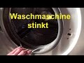 Waschmaschine stinkt riecht Waschmaschine reinigen sauber machen Schimmel Waschmaschine muffig