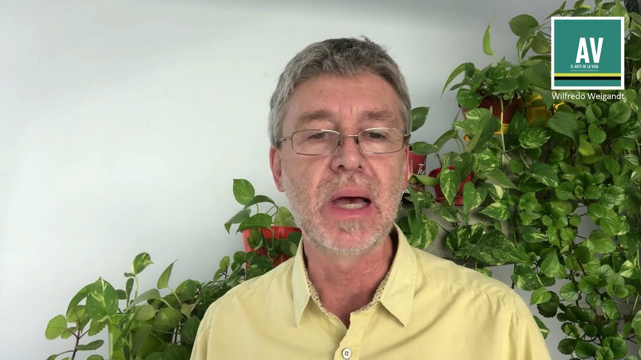 Predicación Lucas 8:1-3. El equipo de misión de Jesús