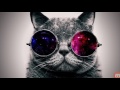 Download Lagu Yellow Claw - DJ Turn It Up