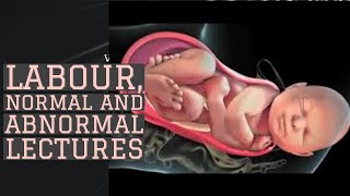 LABOUR lecture 1 MATERNAL PELVIS and FETAL SKULL ANATOMY important points made simple