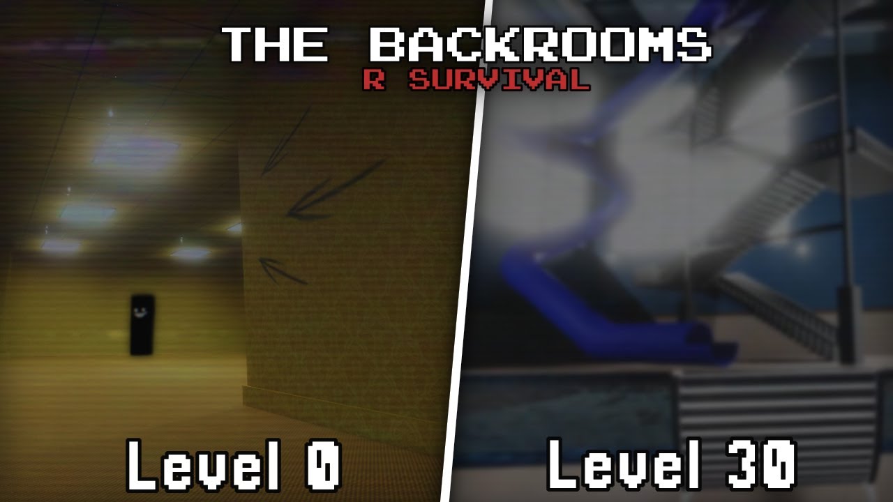 From level 0 to level 30 in backrooms [redacted]