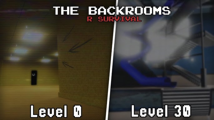 From level 0 to level 30 in backrooms [redacted]