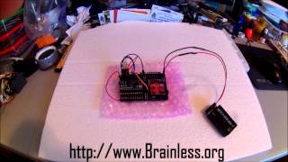 RoboGuts + 28X2 Module and Lesson-02