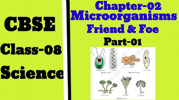 microorganism: Friend and Foe|part1|cbse |chapter2|class8|science.