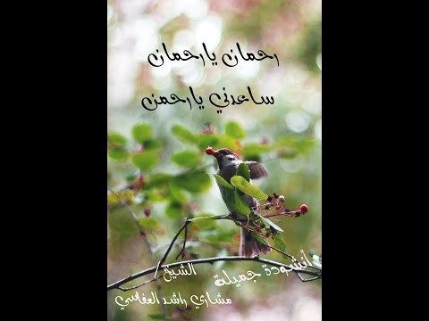 مقطع قصير أنشودة رحمان يا رحمان ساعدني يارحمن فضيلة الشيخ مشاري راشد العفاسي