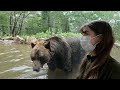 【女ひとり旅】北海道の真ん中で、ヒグマに出会いました【外国人】