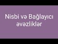 Nisbi ve baglayici evezlikler