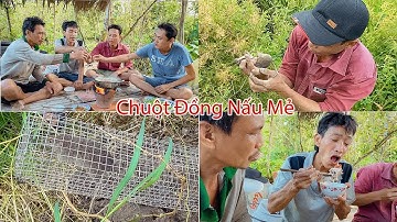 Bắt Chuột Đồng Nấu Mẻ "Lai Rai" Ngày Bão | Gấc Quê