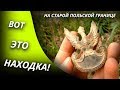 РЕДКАЯ НАХОДКА! КОП XP Deus и кокарда у старой польской границы