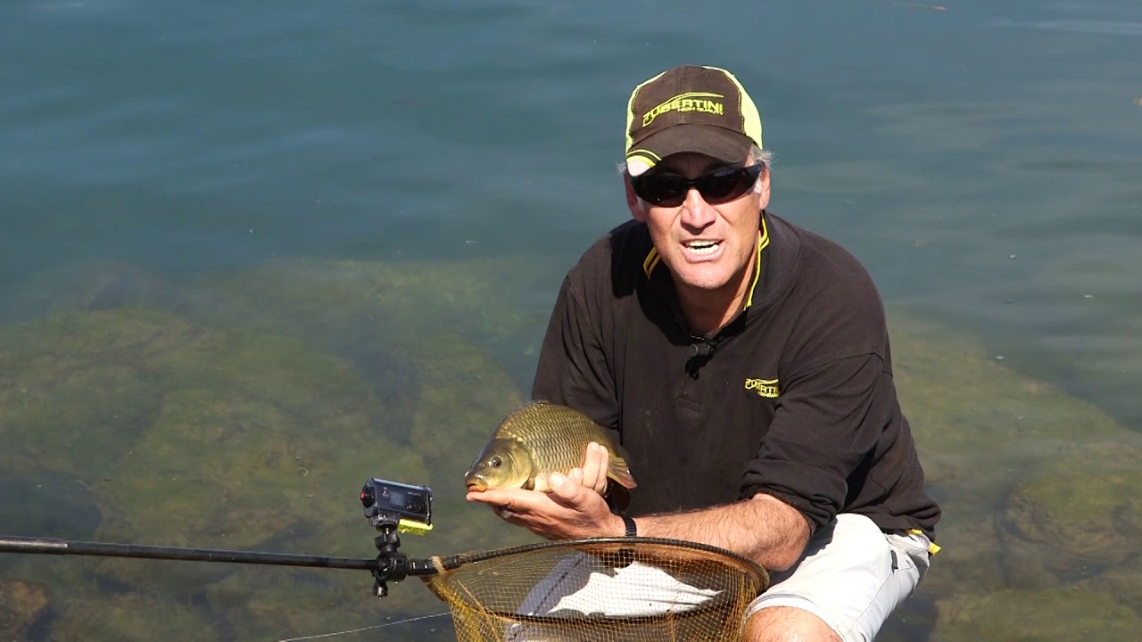 Feeder in Tour - Bolsena (Tubertini)