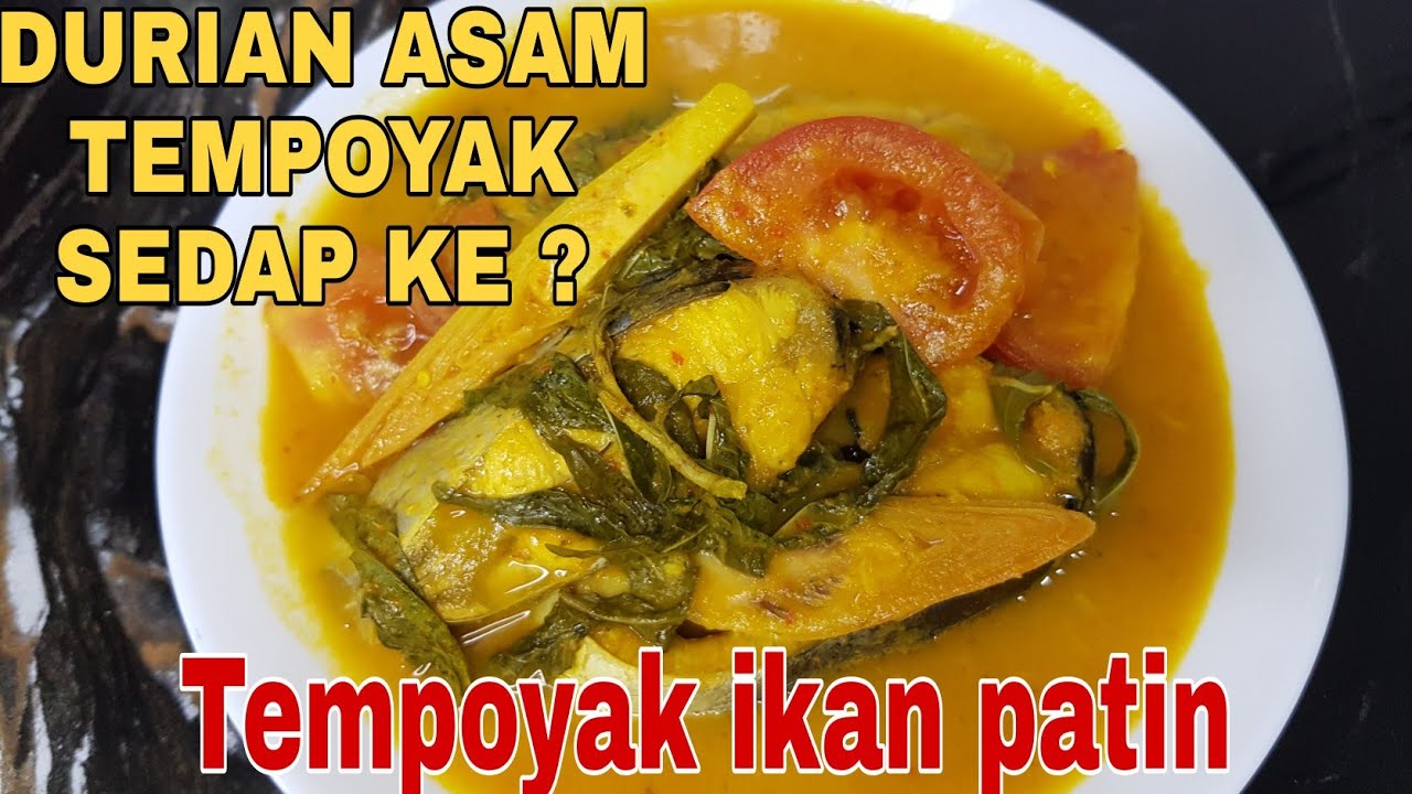 Tempoyak simple ikan patin masak Koleksi 10