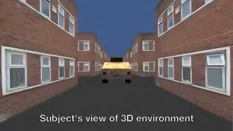 Multimodal BCI Task Explanation