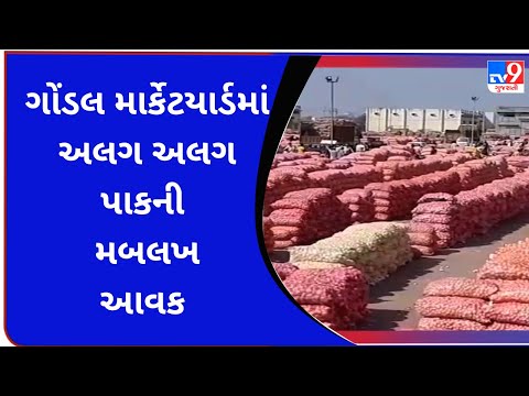 ગોંડલ માર્કેટયાર્ડમાં અલગ અલગ પાકની મબલખ આવક | Tv9GujaratiNews