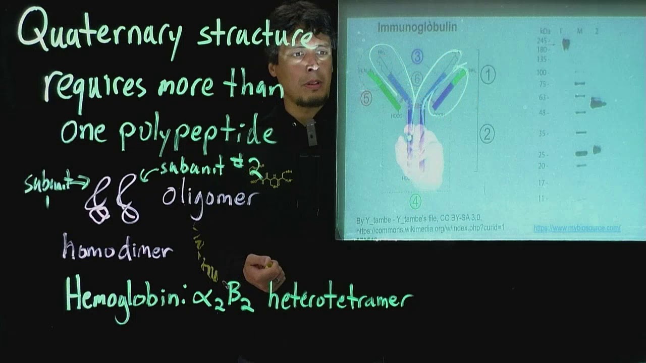 Quaternary Multiples