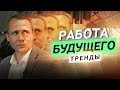 Аренда офиса или работа на дому? Оскар Хартманн