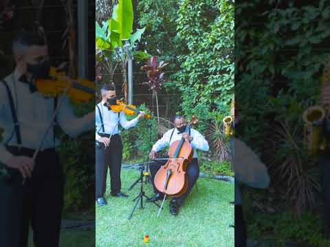 Trevo (Tu) - ANAVITÓRIA - Instrumental Sax, Violino & Celo (Wesley Passos)